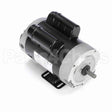 C446ES Century Motor
