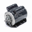 CG239 Marathon Motor