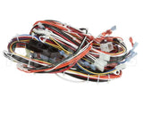 CH145L Grindmaster Cecilware Harness R/Gb8M10