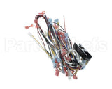 CH362 Grindmaster Cecilware Harness (1&2 Brew) - Fen Urn