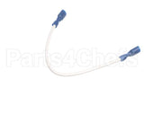 CH527L Grindmaster Cecilware Wire
