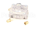 CONV-RDGM-1836-C-LP Rankin Delux Conversion Kit From Natural Gas To Liqui