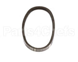 CP-105 Hammerall Belt