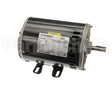 CPHD56FL651 Bryant Payne Motor