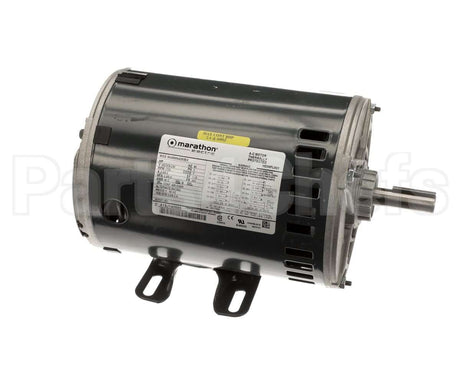 CPHD56FL651 Bryant Payne Motor