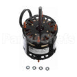 D1124 Fasco Oem Replacement Motor