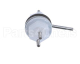D2470-31 Insinger Probe-Low Water Cut-Off