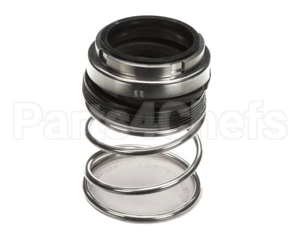 D2494 Insinger Pump Seal