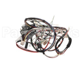 D519030 Alliance Timer And Harness Kit