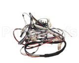 D519030 Alliance Timer And Harness Kit