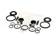 DV-1870 Grindmaster Cecilware Dca Group Rebuild Kit