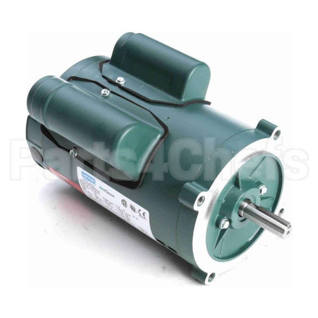 E100025.00 Leeson Motor