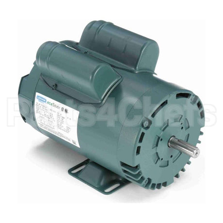E110002.00 Leeson Motor