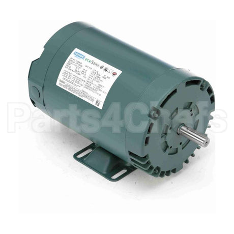 E110028.00 Leeson Motor