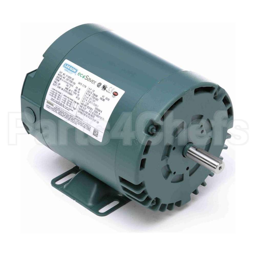 E119351.00 Leeson Motor