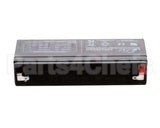 E133100 Globe Storage Battery