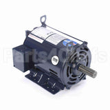 E317M2 Century Motor