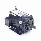 E317M2 Century Motor