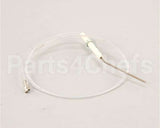 E502676 Eloma Ionisation Electrode