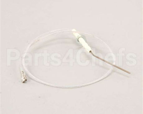 E502676 Eloma Ionisation Electrode