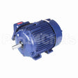 E547-P Marathon Motor