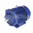 E566 Marathon Motor