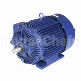 E566 Marathon Motor