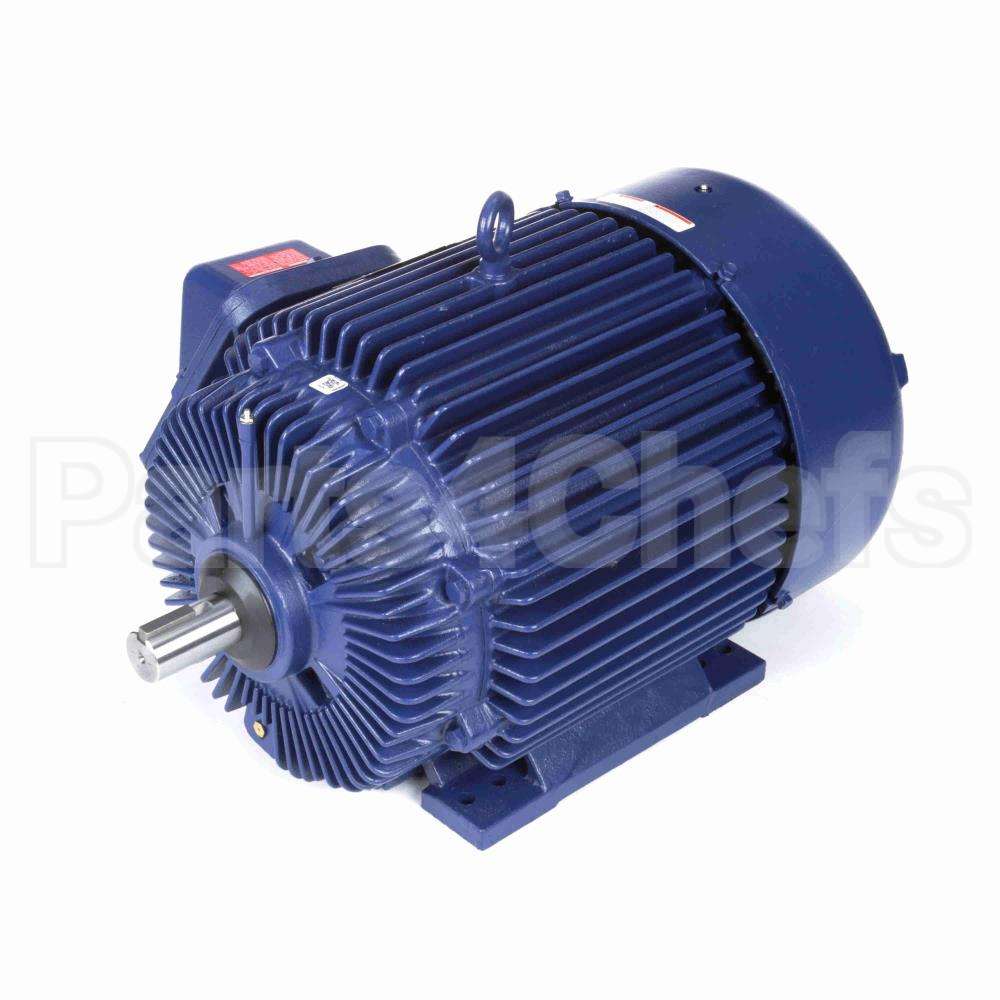 E569 Marathon Motor