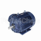 E571 Marathon Motor