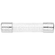 ELFUS0305 Compatible Randell Fuse