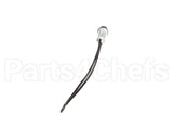EL LGT1601 Randell Light,Blue, Pilot 250V W/Leads