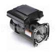 ELV08SQ Century Pool And Spa Pump Motor