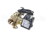 EP103102 Steamist Solenoid Steam 1/2 208-240V