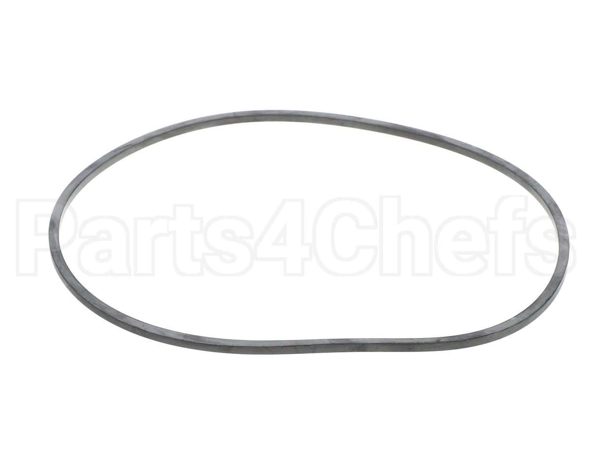 EV094400 Everpure Gasket Sq. Cut T-9/20