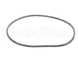 EV094400 Everpure Gasket Sq. Cut T-9/20