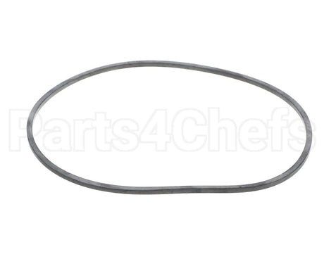 EV094400 Everpure Gasket Sq. Cut T-9/20