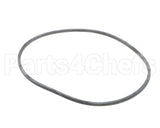 EV094400 Everpure Gasket Sq. Cut T-9/20