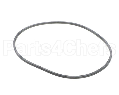 EV094400 Everpure Gasket Sq. Cut T-9/20