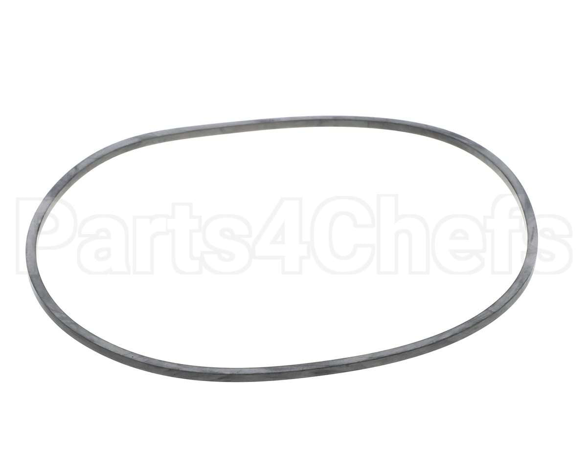 EV094400 Everpure Gasket Sq. Cut T-9/20