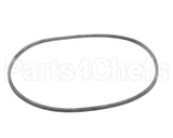 EV094400 Everpure Gasket Sq. Cut T-9/20