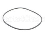 EV094400 Everpure Gasket Sq. Cut T-9/20