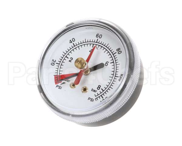 EV306818 Everpure Back Mnt Brass Gauge 0-125 Psi