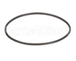 EV307119 Everpure Replacement O-Ring