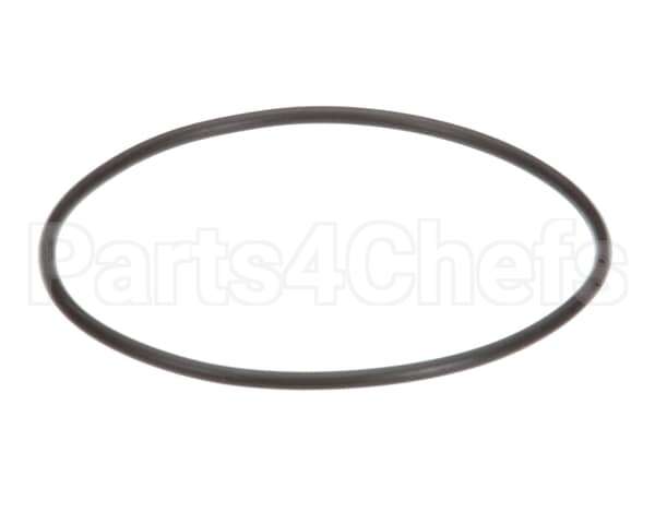 EV307119 Everpure Replacement O-Ring