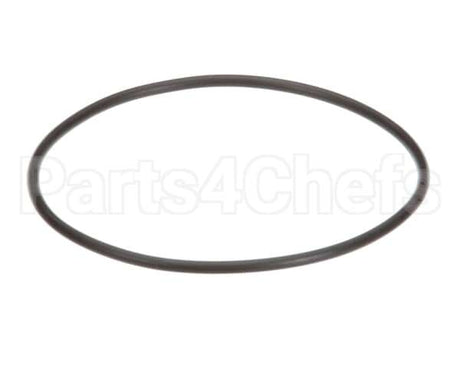 EV307119 Everpure Replacement O-Ring