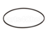 EV307119 Everpure Replacement O-Ring