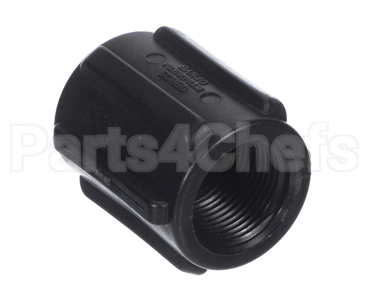 EV311408 Everpure Coupling, 3/4 Fnpt