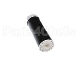 EV910813 Everpure Cgt-10S
