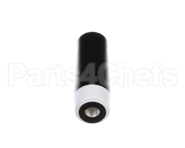 EV910813 Everpure Cgt-10S