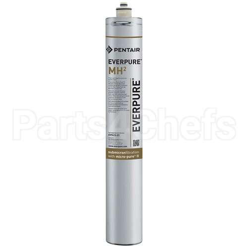 EV9613-21 Compatible Everpure Filter Inmhin